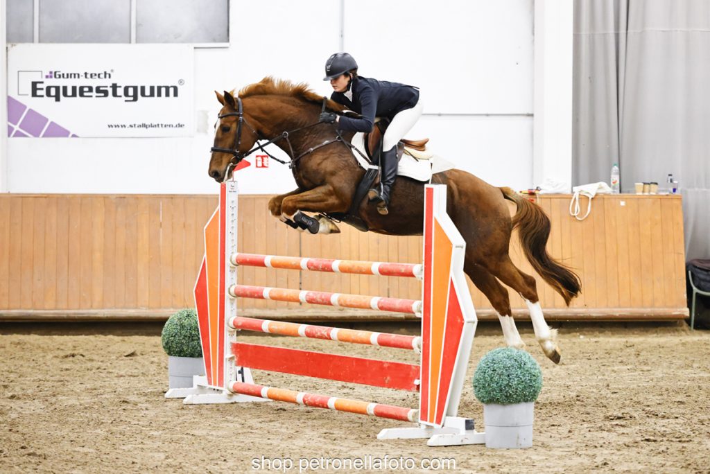 Herczog Zsuzsanna - Hippolit