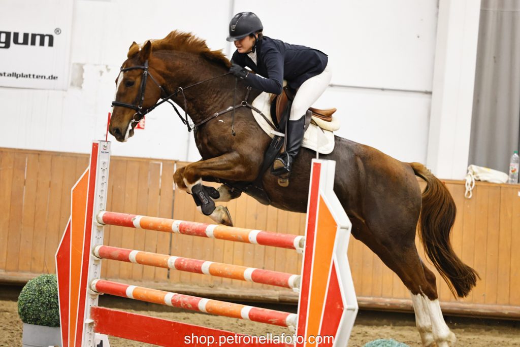 Herczog Zsuzsanna - Hippolit