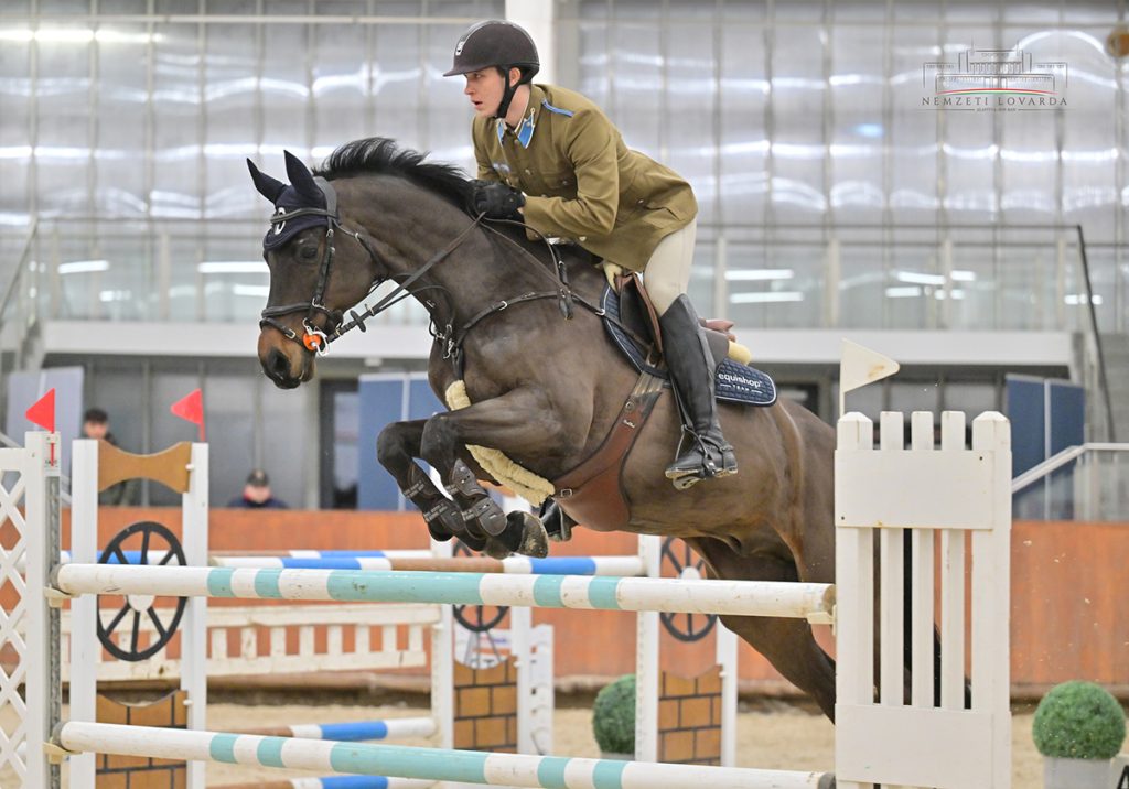 Dömse Tamás - Conquistador