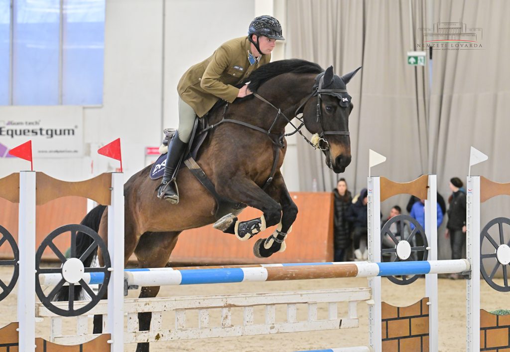 Szladek Máté - Bagatelle Gold Z