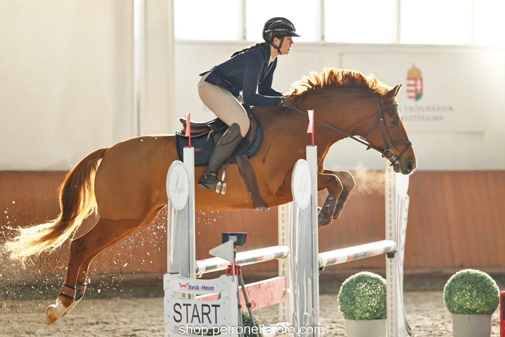 Tóth Laura - Királyfi