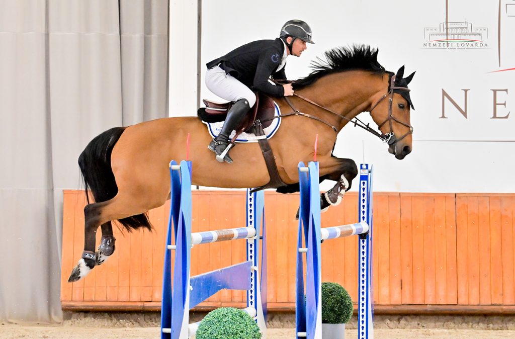 Búza Krisztián - Apollon