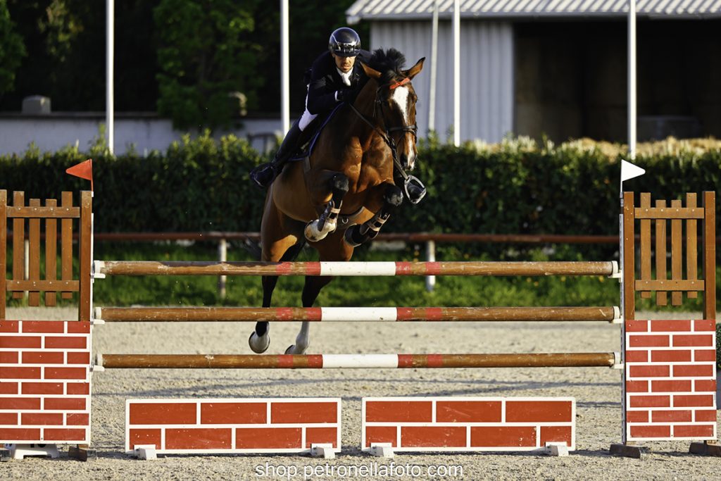 Tóth Martin József - Jegenye