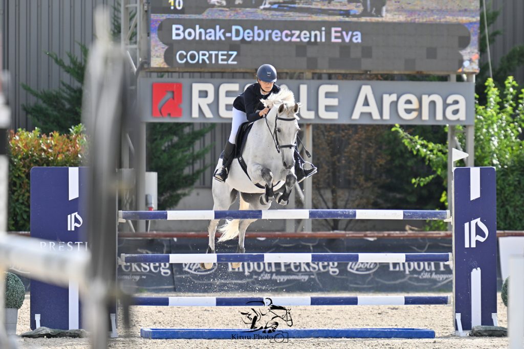 Bohák-Debreczeni Éva - Cortez
